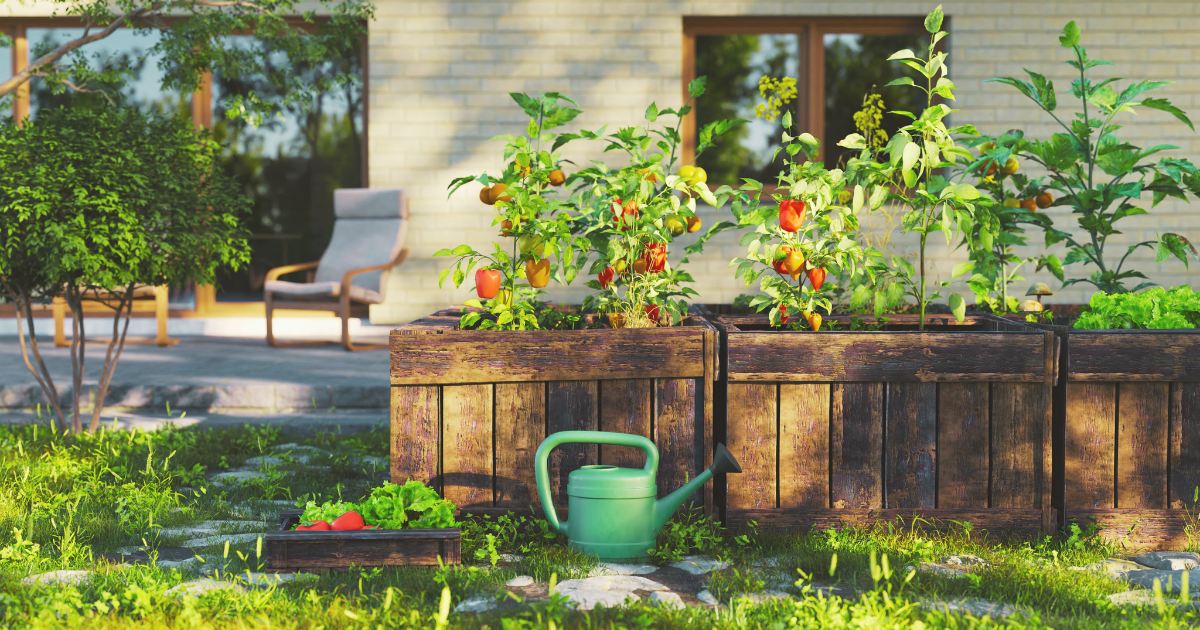 Rotate Containers and Raised Beds Every 2–3 Days.png