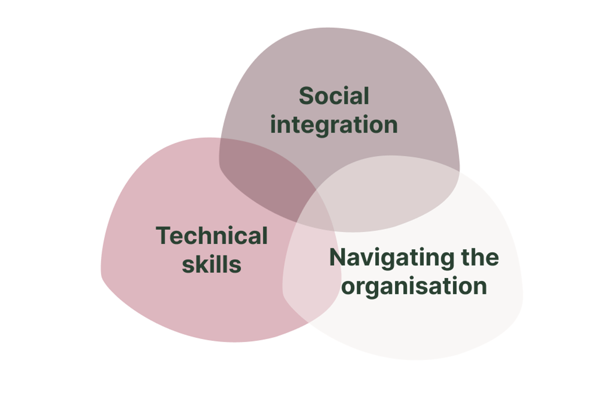 Venn diagram showing social integration, technical skills, and navigating the organization