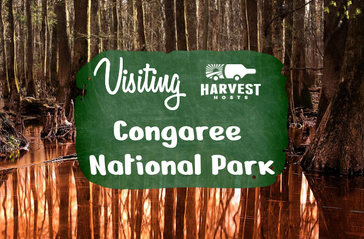 Visiting Congaree National Park