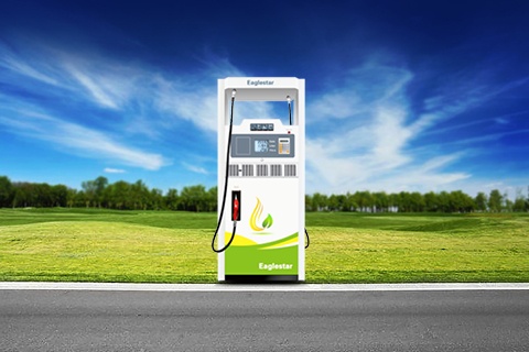 EG3 Classical single or Dual pump and Dispenser