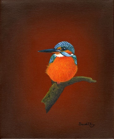 Kingfisher