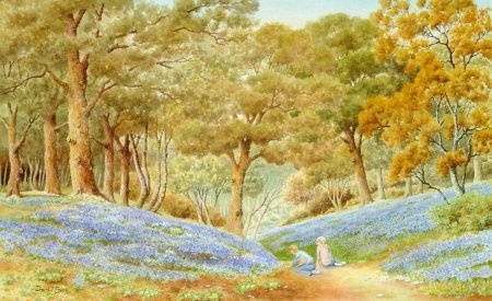 Bluebells in Belmont Woods, Herefordshire (Watercolour Painting)