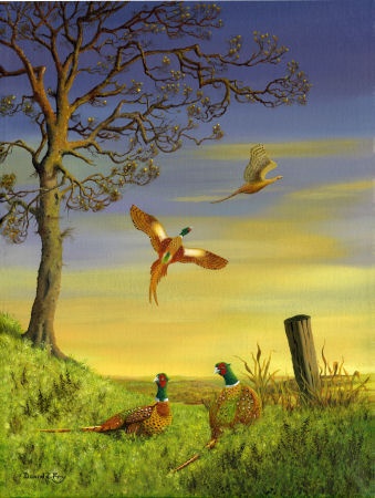 Pheasants