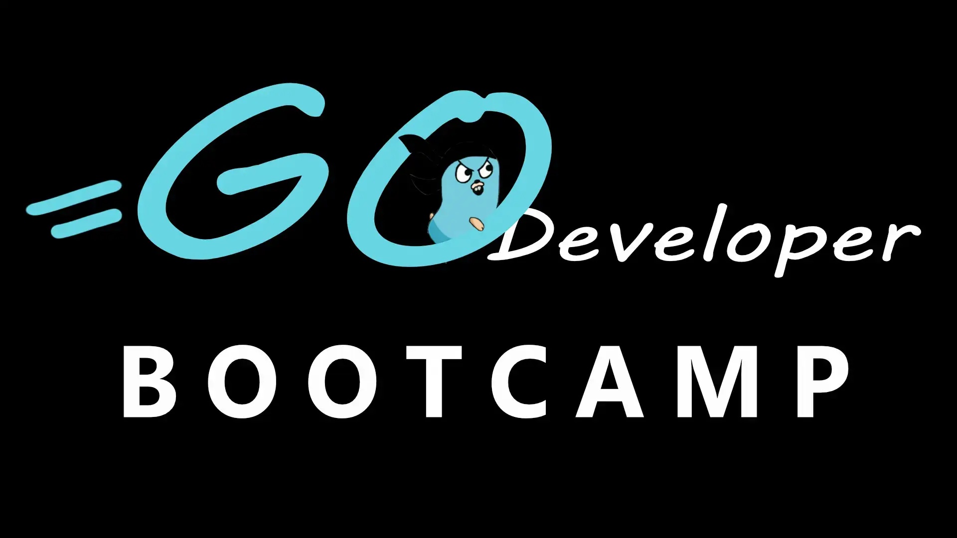 Go Developer Bootcamp ( Golang Dojo )