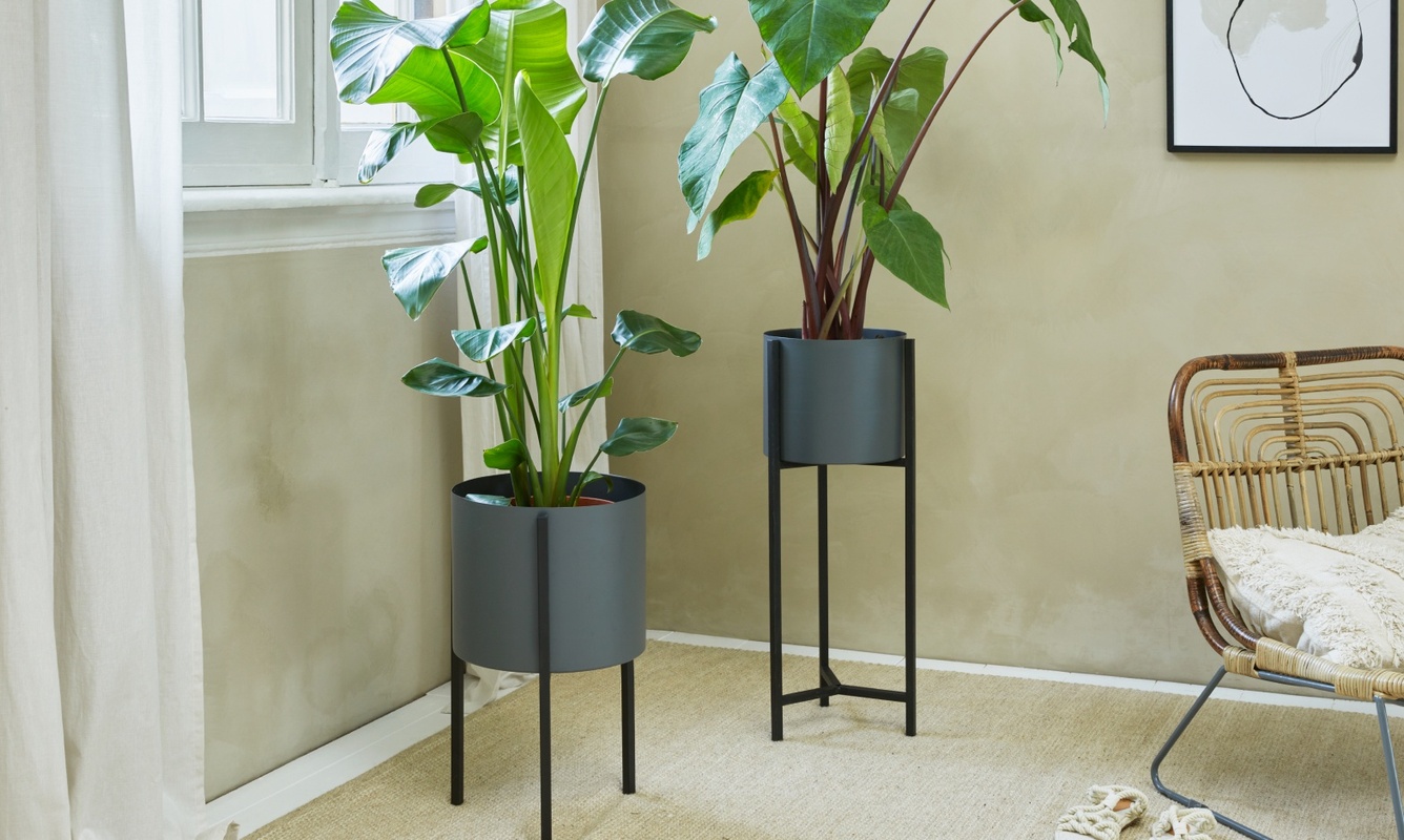 Plantenbak Delphine - Lifa Living