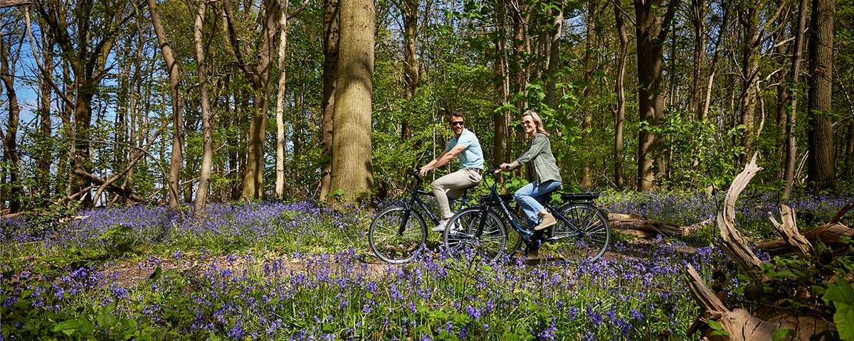 Fiets voordeliger dan ooit