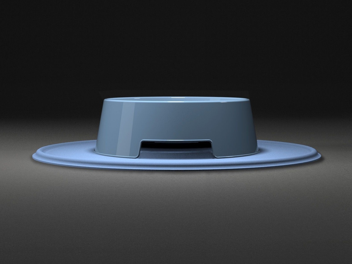 Modern pet products for dogs and cats