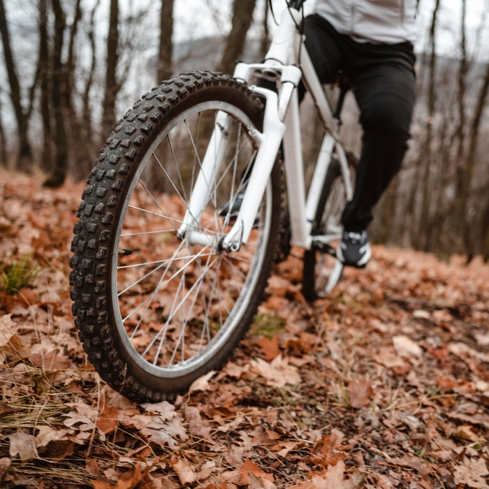 man-riding-mountain-bike-autumn-leaves.jpg