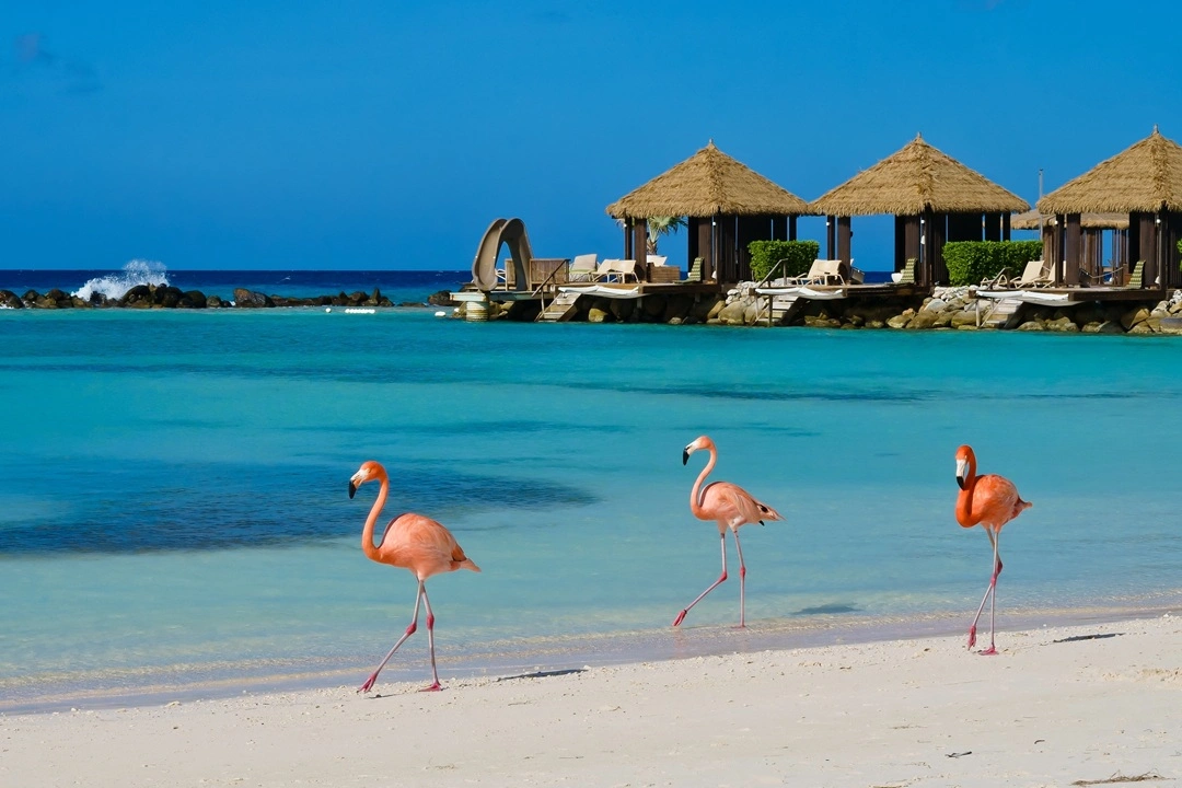 5 Steps to Do Offshore Banking in Aruba