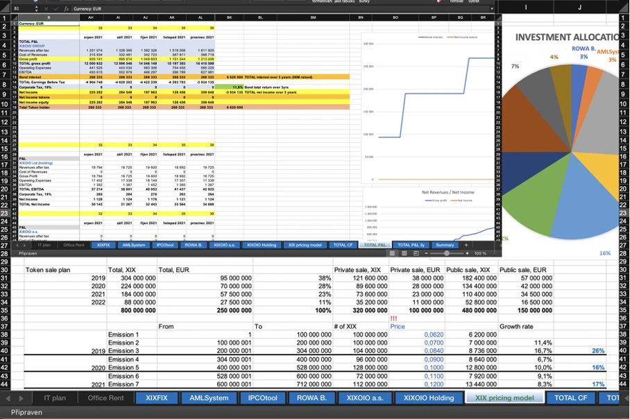 Investment Allocation