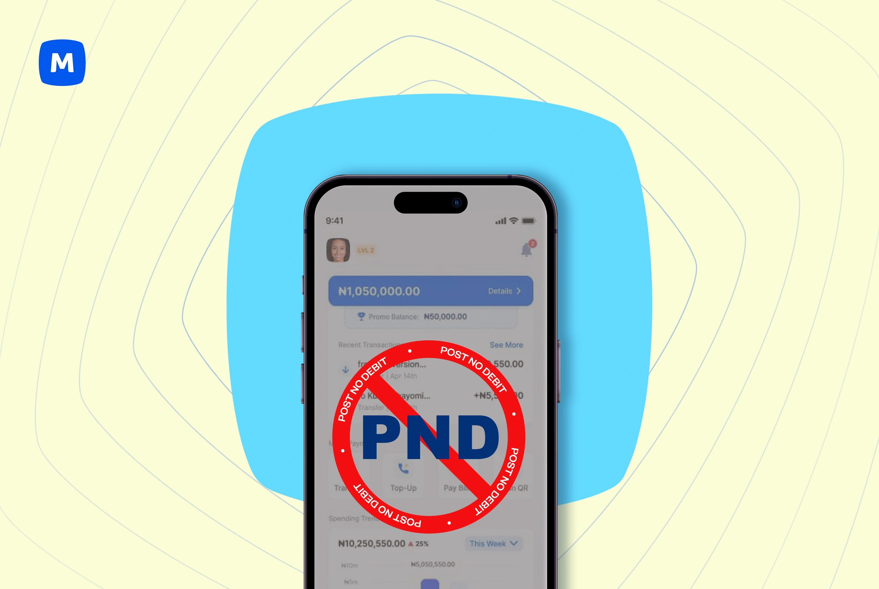 Restricted Account: What is PND in Moniepoint?