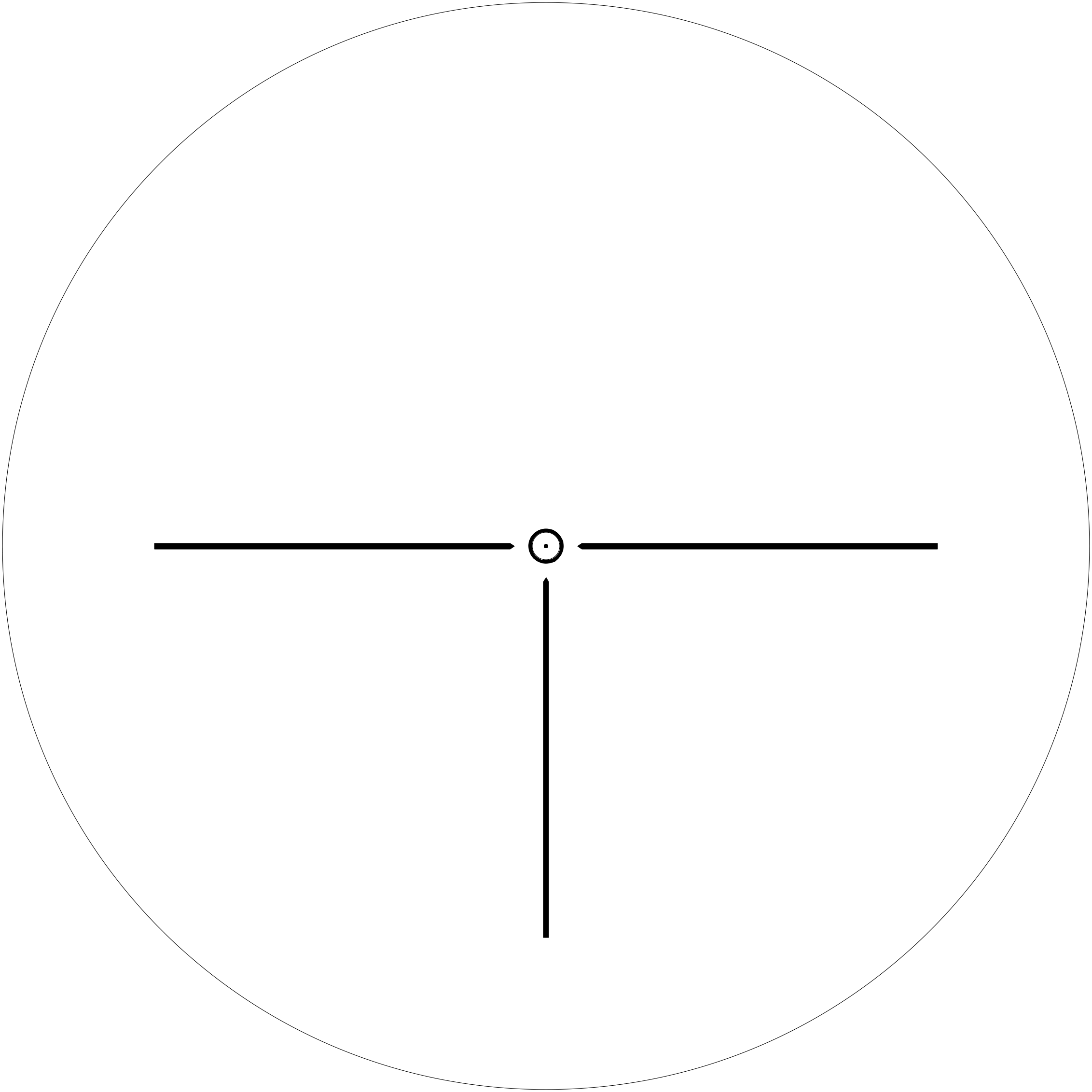 RAQ reticle