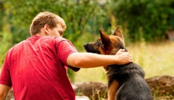 Homem de camiseta vermelha ao lado de um cachorro da raça pastor alemão