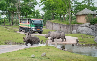 Product afbeelding: Wildlands Adventure Zoo Emmen