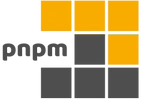 pnpm