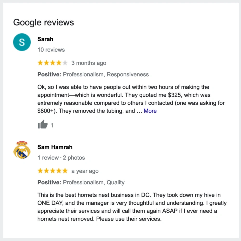 Google reviews for pest control company
