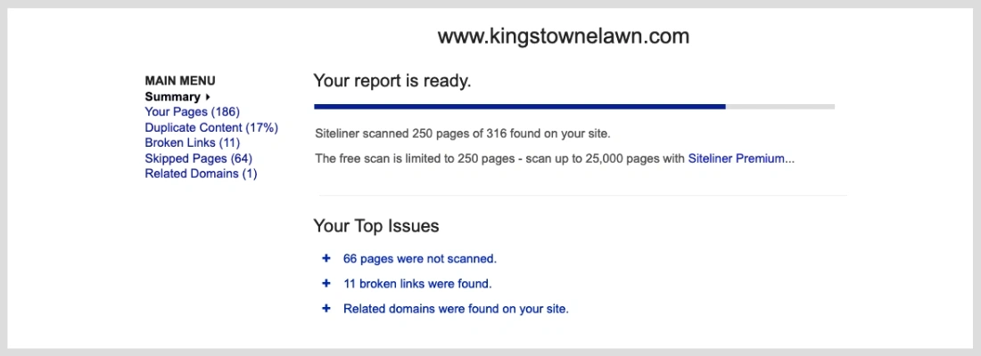 Find broken links with Siteliner.