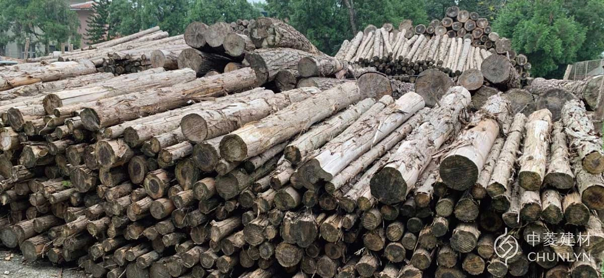 中菱生產鑽泥板所使用的木材，來自人工林場的台灣杉疏伐材，只取用「多的資源」保護山林生生不息。