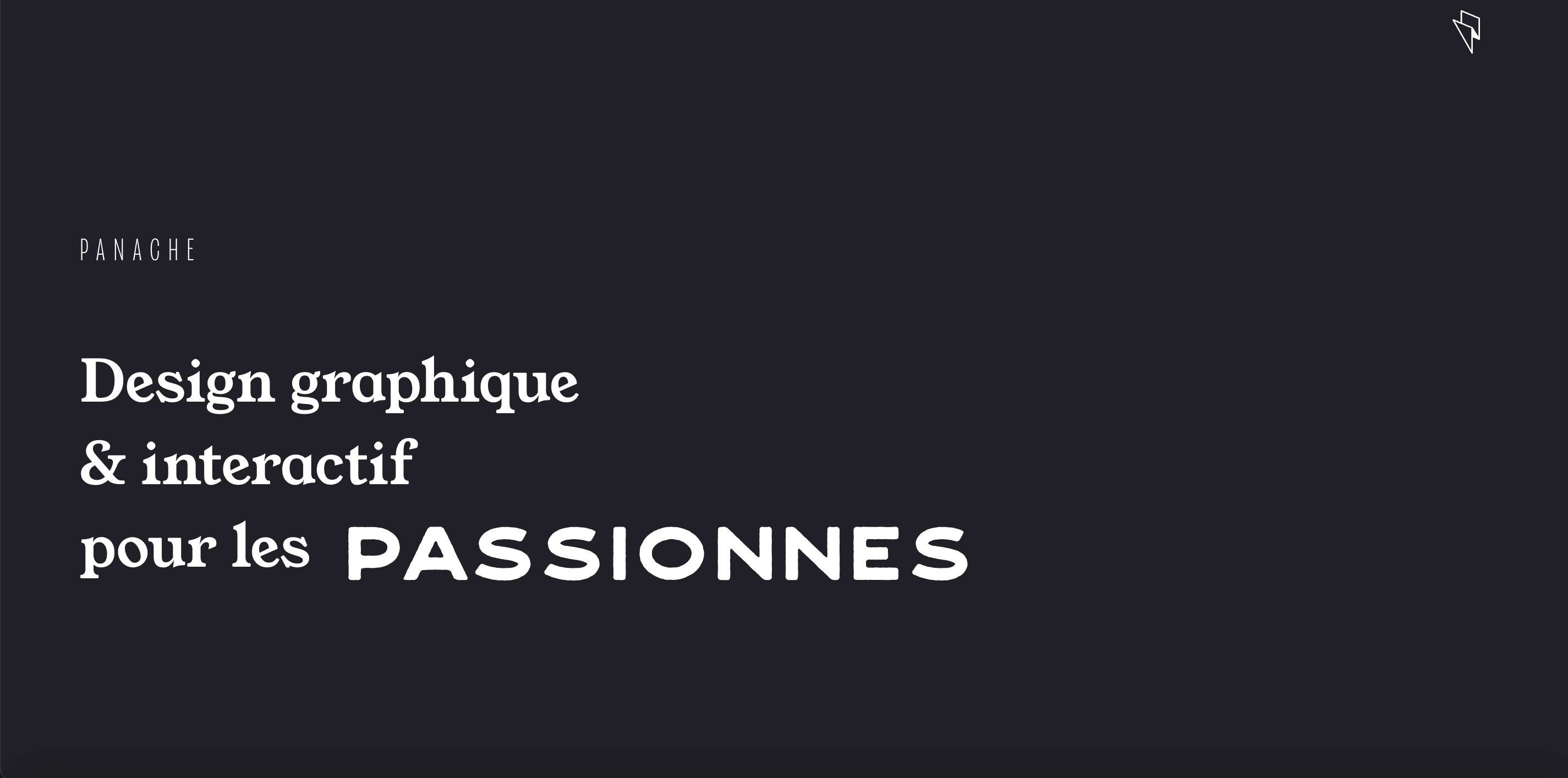A screenshot of the panache.fr home page