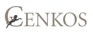 Cenkos Securities