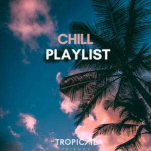 blog_guides_top10_chillhop_spotify_playlists_free_dailyplaylists_2024_1.png