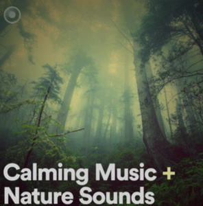 top10_spotify_ambient_playlists_to_submit_to_on_dailyplaylists_for_free_3.png