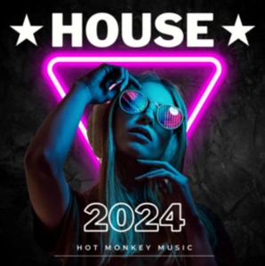 blog_guides_top10_6_house2024_hotmonkeymusic.png