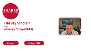 eEnergy Group (EAAS) - Harvey Sinclair, CEO
