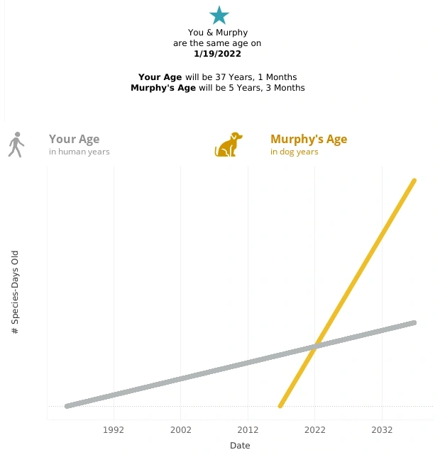 Lap Day Calculator Know when you and your dog are the same age