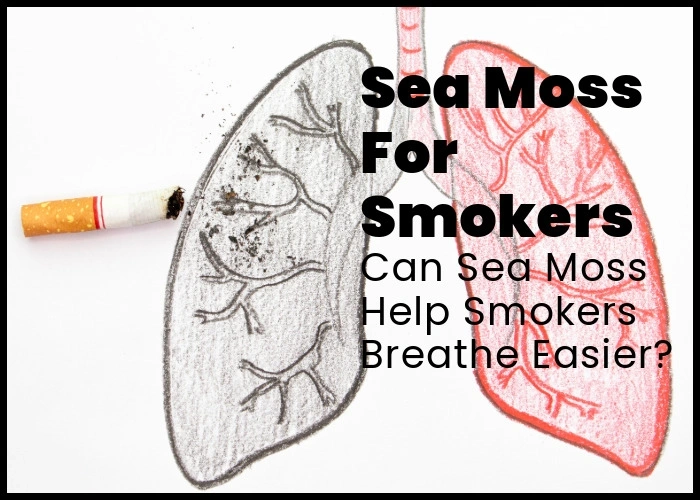 Sea Moss for smokers.