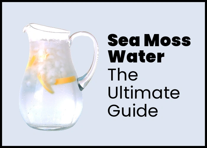 The ultimate guide to sea moss water.