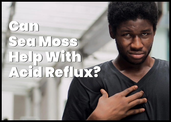 Sea moss for acid reflux.