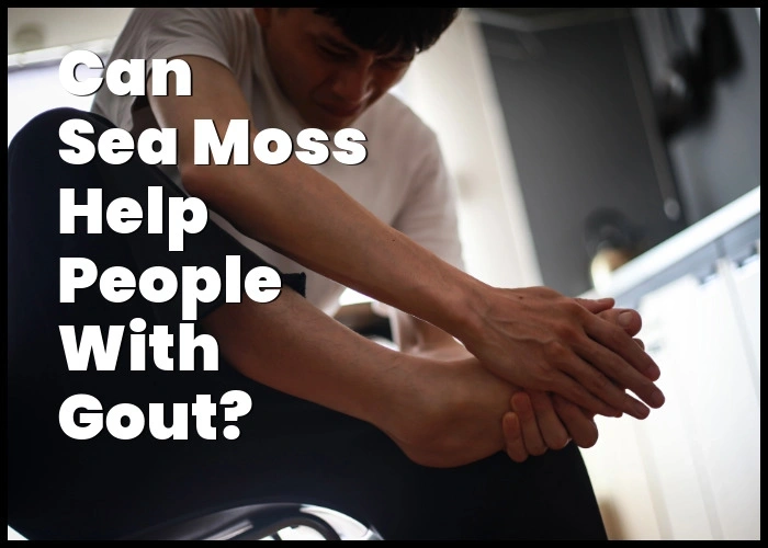 Is sea moss good for gout?