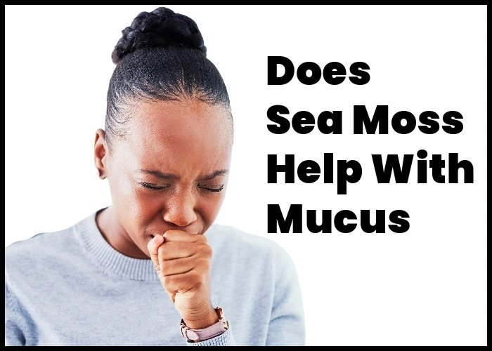 Does sea  moss help with mucus?
