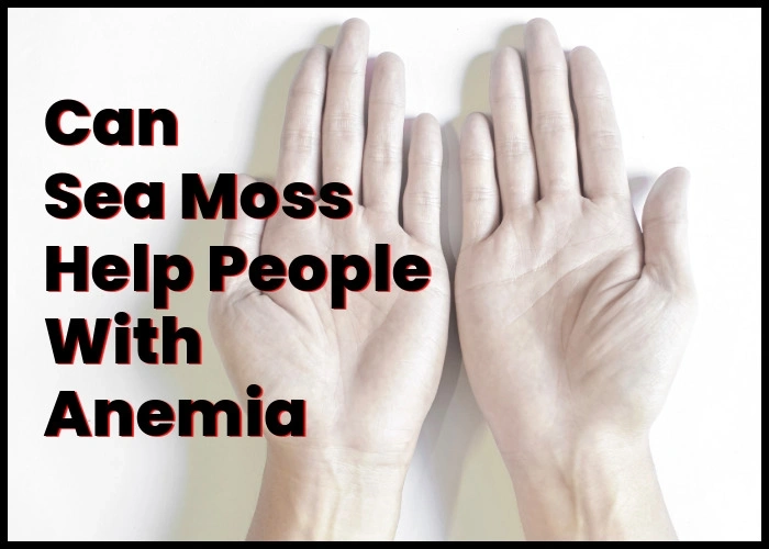 Sea moss for anemia.