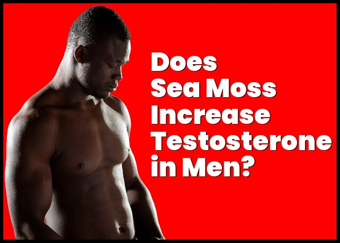 Does sea moss increase testosterone in men?