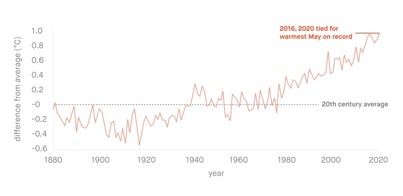 Global average temperature in May, 1895–2020