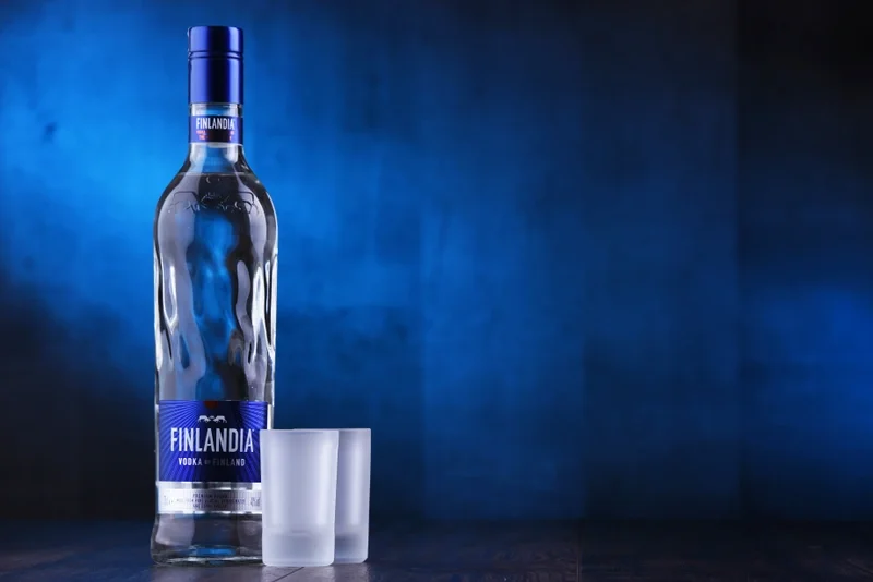 Bottle of vodka and two shot glasses