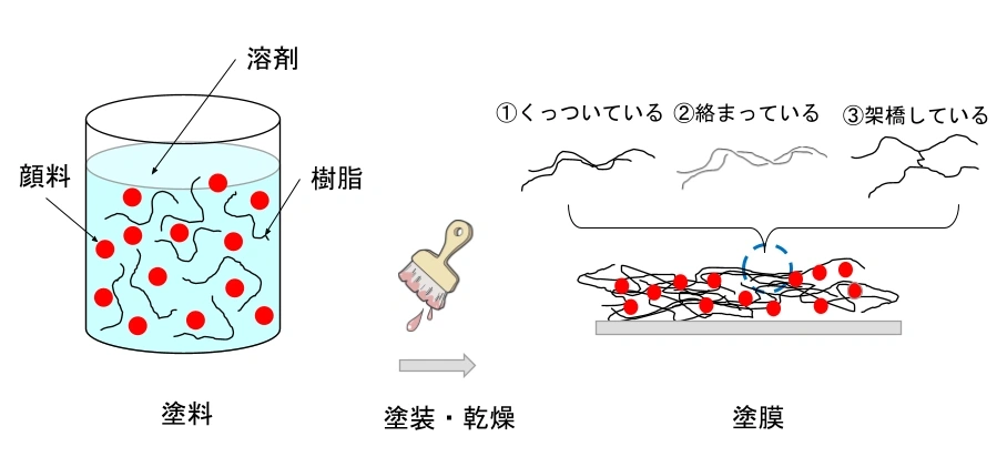 4.塗料が固まるメカニズム ①常温で固まる1液型バインダー樹脂