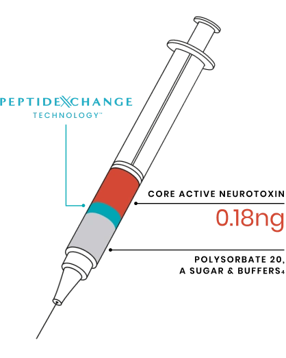 An image         of a syringe with its contents divided into 3 sections: the section at         the lowest point of the syringe is labelled 'Polysorbate 20, a sugar and         buffers'; the section in the middle is labelled 'Peptide exchange         technology'; the section at the top is labelled 'Core active neurotoxin,         0.18ng'