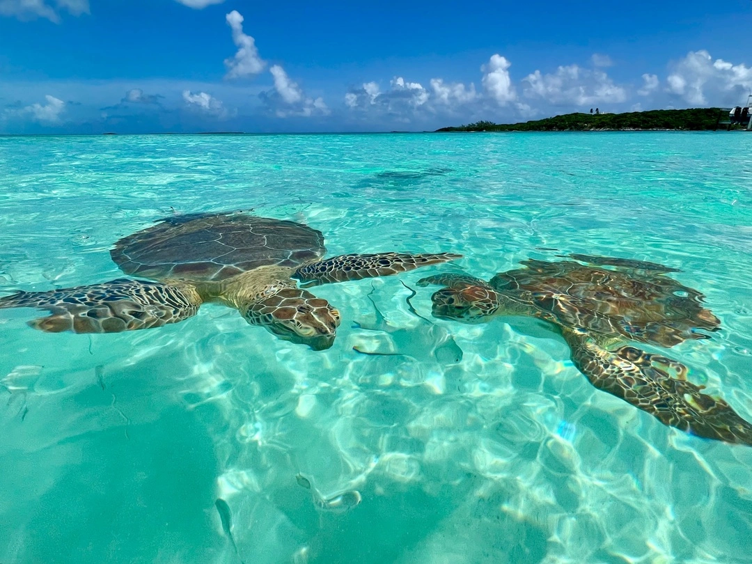 Benefits of Bahamas Overseas Banking for Businesses