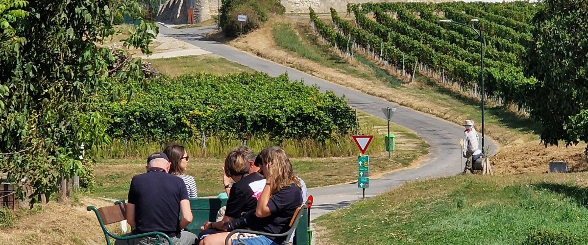 A Tractor Ride Through Austria’s Carnuntum