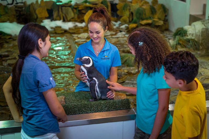 Kids seeing a penguin.