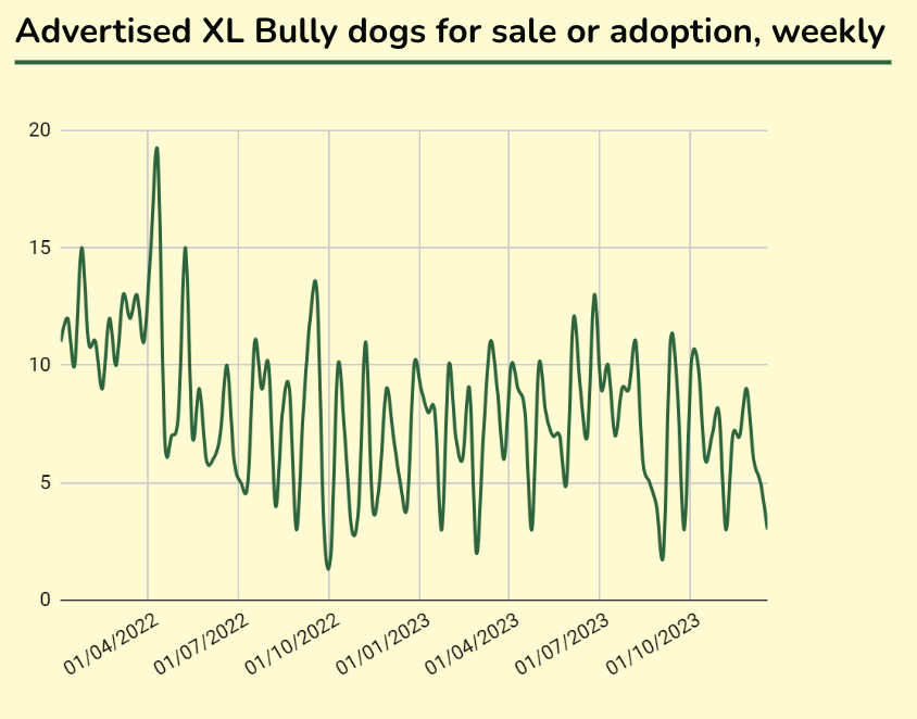 Advertised XL Bully dogs for sale or adoption, weekly.png