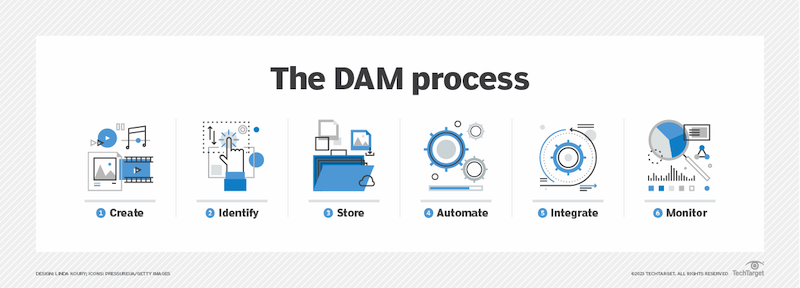 The DAM Process.png