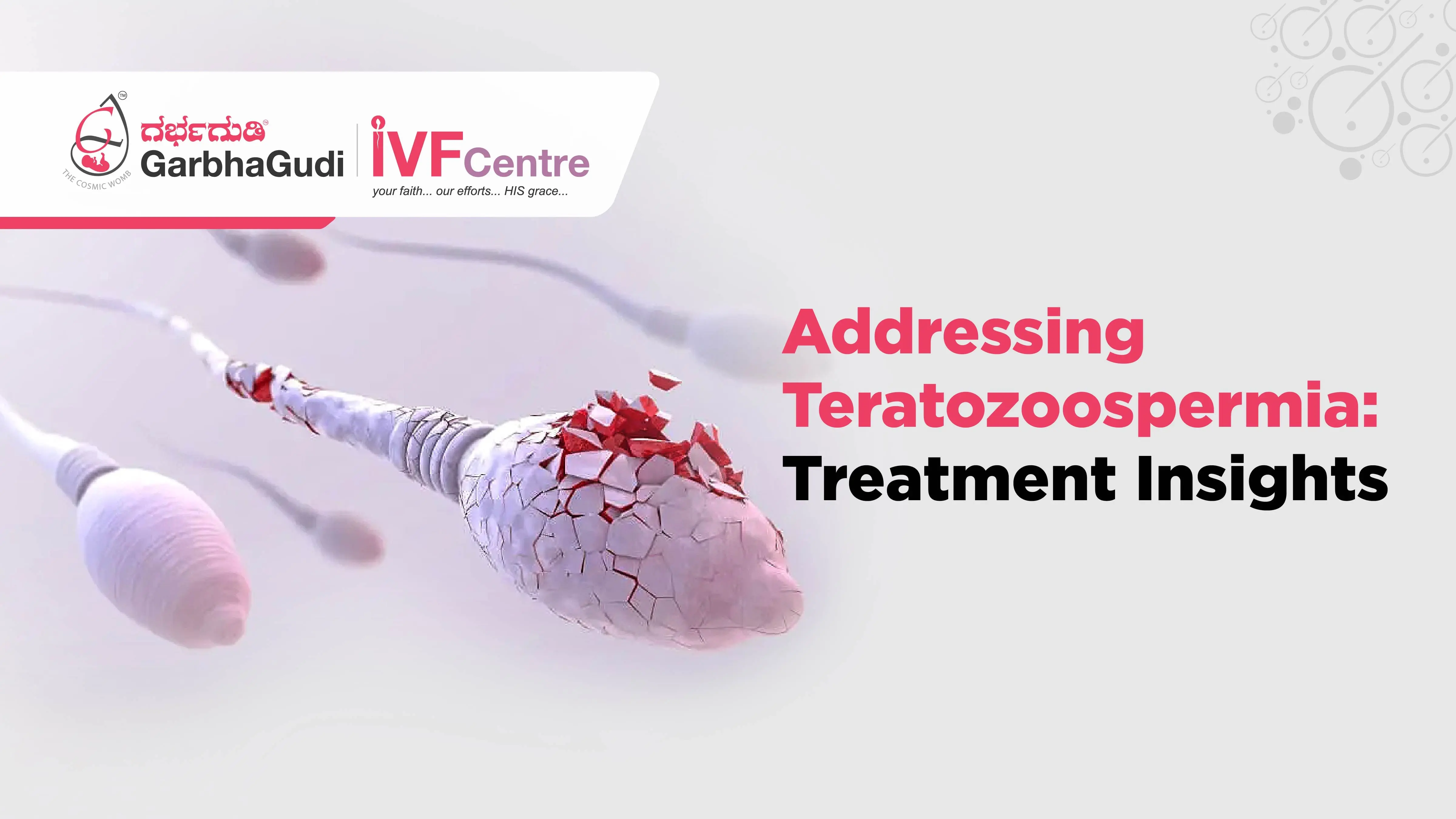 Addressing Teratozoospermia: Treatment Insights