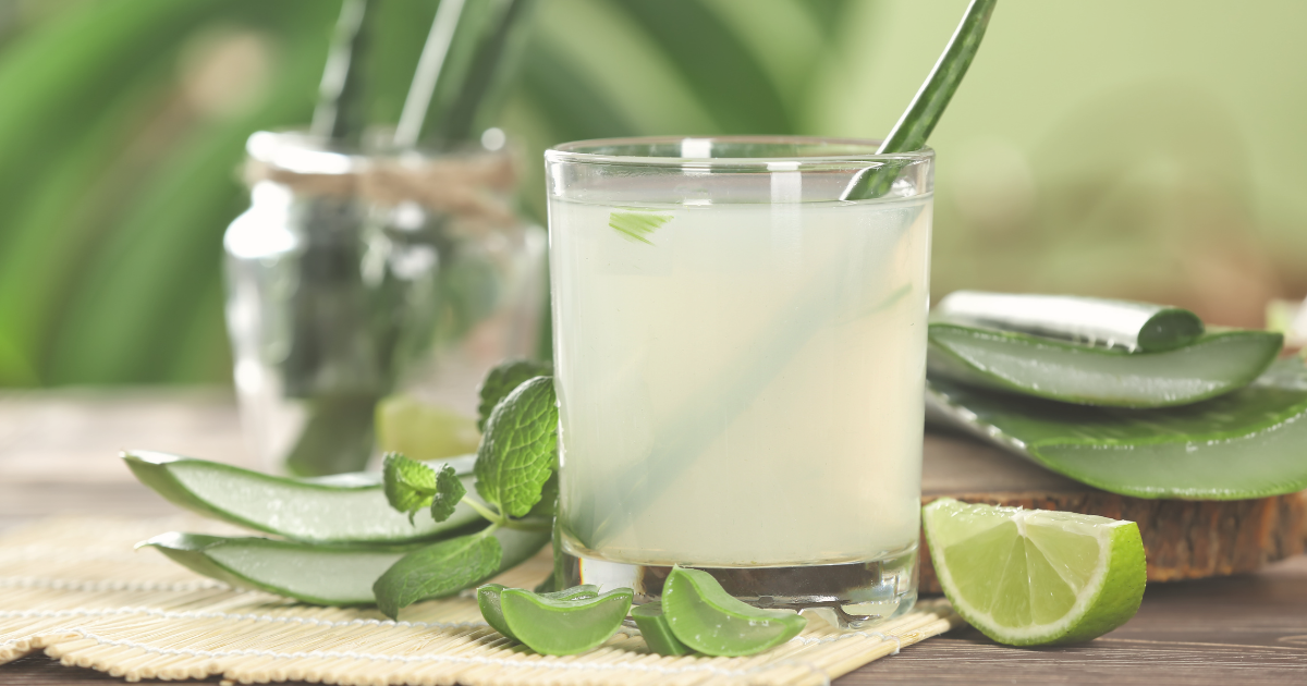 Harvesting Aloe Vera (1).png