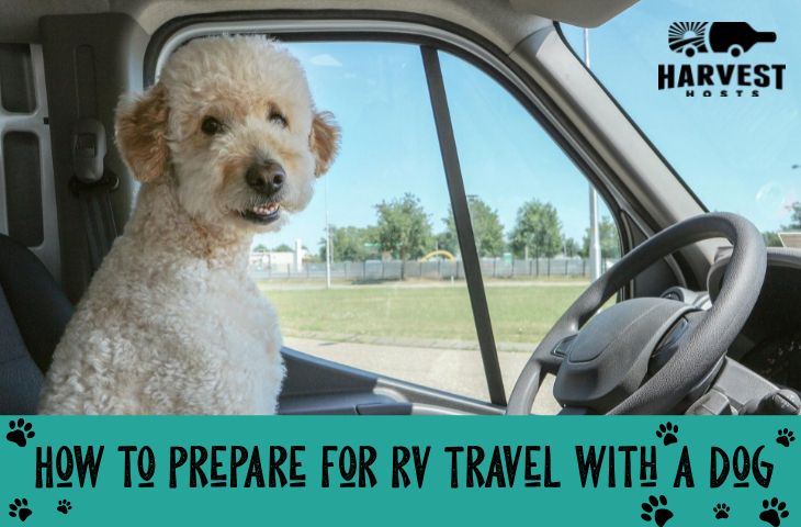 How to Prepare for RV Travel with a Dog