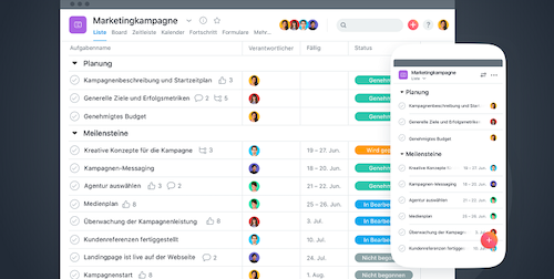 Asana Screenshot