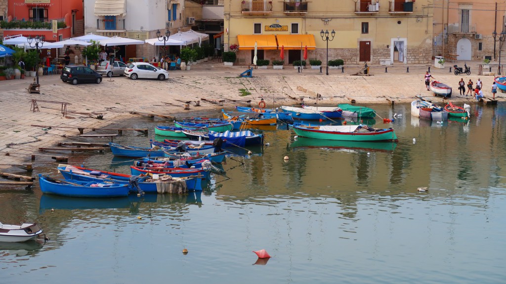 3625-IMG_8933-bis-Bisceglie-1024x575.jpg